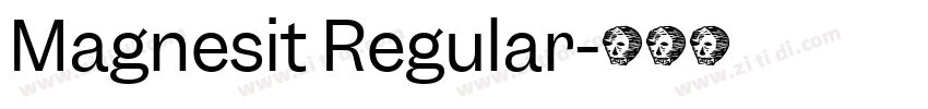 Magnesit Regular字体转换